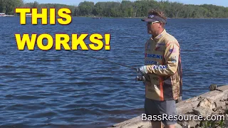 Drop Shot from the Bank | How to | Bass Fishing