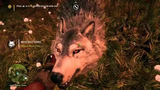 Beast Master Mission Walkthrough in Far Cry Primal