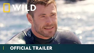 Shark Beach with Chris Hemsworth - Official Trailer | Sharkfest | National Geographic Wild UK