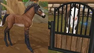 The Stolen Trapped Horse ( Star Stable Online )