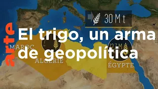 El trigo en la geopolítica mundial | ARTE.tv Documentales