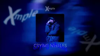 [FREE] СКРИПТОНИТ x GRISELDA x EXPERIMENTAL type beat: @Xmplebeats - Crying Whales.