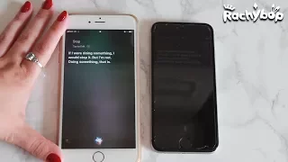 Siri talks to Siri [iOS 10 vs iOS 11] | Rachybop