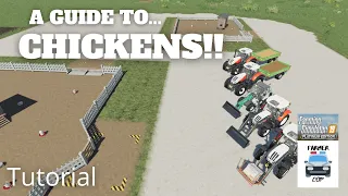 A Guide to Chickens in Farming Simulator 19!!