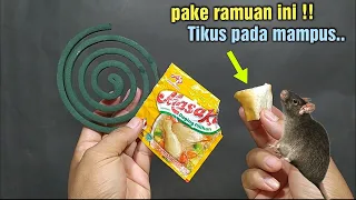 CARA BUAT RACUN TIKUS DARI OBAT NYAMUK BAKAR PALING AMPUH