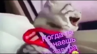 Когда ты знаешь что завтра выходной 😂🤣