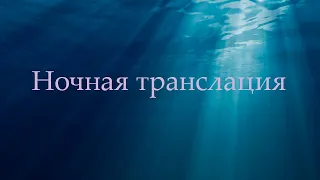 Ночная Трансляция. Каких людей вы притягиваете в свою жизнь и почему.