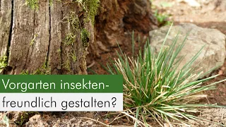 Vorgarten-Umwandlung in ein Insektenparadies mit Regenwasserversickerung