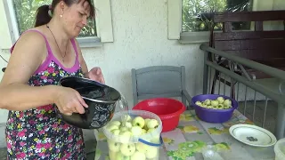 День маринованных яблок и ленивых пирожков