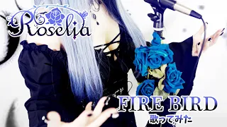 Roselia/FIRE BIRD【coverd by IBARA】