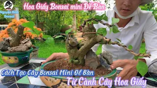 Cách Tạo Cây Hoa Giấy Bonsai mini Để Bàn__Từ Cành Cây Hoa Giấy.