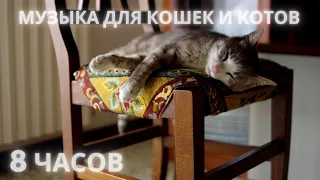 #82🐱Музыка для кошек и котов🐱  Успокойте ваших кошек музыкой, помогите котам спать