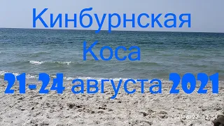 Video 333: 21-24 августа 2021 Кинбурнская Коса