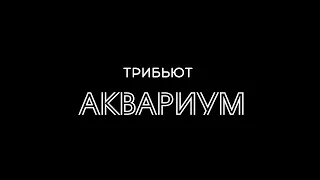 Группа ''НАСТЕЖЬ''   Трибьют ''АКВАРИУМ''