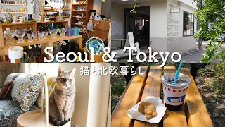 東京で楽しむ北欧暮らし🌿 吉祥寺の可愛い雑貨屋さんとカフェ🇯🇵 / 友達に会いにソウルへ！カフェを巡る2泊3日の旅 🇰🇷 / Seoul & Tokyo Vlog