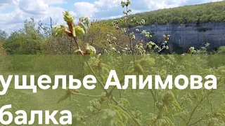 Крым : лёгкий поход от Алимовой балки через лес Касле до Сююр-Таш