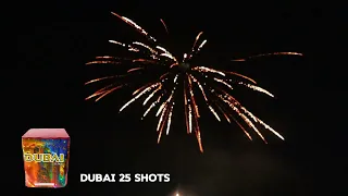 Dubai 25 Shots