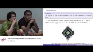 Yuval Peres: Self-interacting walks and uniform spanning forests