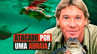 OS ÚLTIMOS MOMENTOS DO CAÇADOR DE CROCODILO ANTES DA MORTE