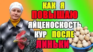 Как повысить яйценоскость кур после линьки.