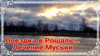 Ейск🌹Поездка в Рошаль... Лечение Муськи. Дождь... Москва.