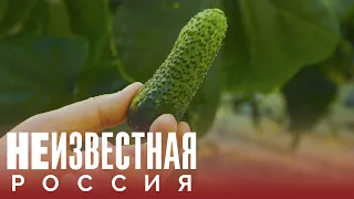 Огуречная столица | НЕИЗВЕСТНАЯ РОССИЯ