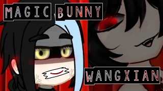 Magic Bunny! 🪄|mdzs 🍃 |Wangxian 💙❤️|