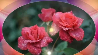 Андрей Дементьев - Дарите женщинам цветы