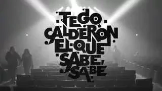 TEGO CALDERON - SUPONGO LIVE - CHICAGO