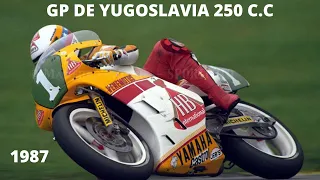 1987 GP de Yugoslavia 250cc. Circuito de Rijeka