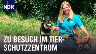 Tiere in Not! – Norddeutschlands größtes Tierschutzzentrum | Die Nordreportage | NDR Doku