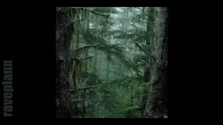 Dark forest - Deidriim - Tales Of Mist And Cold 2 12 2016 Wicked Winter Waltz