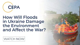 How Will the Kakhovka Floods Damage Ukraine's Environment, Wildlife, Economy, and Affect the War?