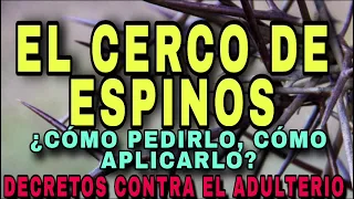 ADULTERIO: EL CERCO DE ESPINOS PARA DETENER SUS IMPULSOS Y FRENAR SU LUJURIA. HÉCTOR ALVARADO.