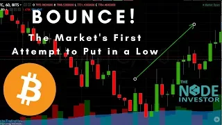 Finally a Bounce! My thoughts on this low and what to look for next