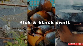 Catch & Cook - Catch fish and black snails | Catch & Cook #01