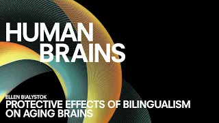 CONVERSATION #3 | Ellen Bialystok | Protective Effects of Bilingualism on Aging Brains