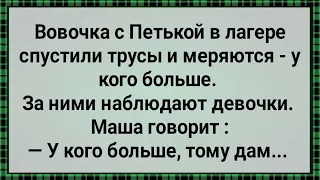 Как Вовочка с Петькой Хозяйством Мерялись! Сборник Свежих Анекдотов! Юмор!