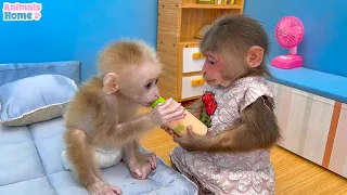 BiBi helps dad take care of baby monkey OBi