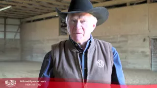 Training People Before Horses: Terry Myers