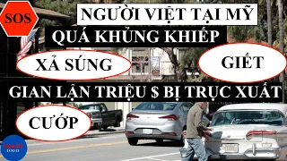 #1 HOA KỲ TODAY|Người Việt ở Mỹ, quá khủng khiếp: Cướp, xả súng, gian lận $ bị trục xuất, bạo hành