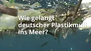 Wie gelangt deutscher Plastikmüll ins Meer? | BR24