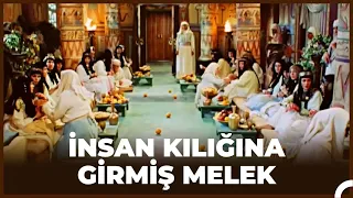 Portakal Yerine Ellerini Kesen Mısırlı Kadınlar, Yusuf'un Karşısında Eriyorlar! - Hz Yusuf 17. Bölüm