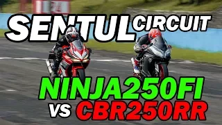 Hampir Nabrak Biawak! - CBR250RR vs Ninja250FI - SENTUL INTERNATIONAL