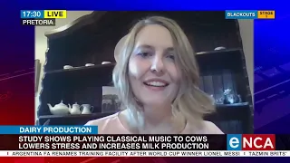 Dairy production | Classical music for cows