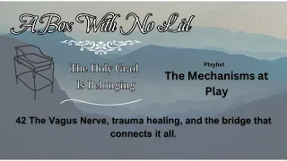 42 The Vagus Nerve, trauma healing, and the bridge that connects it all.