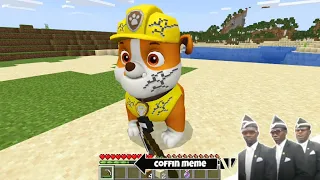 What if you Break Paw Patrol in Minecraft - Coffin Meme