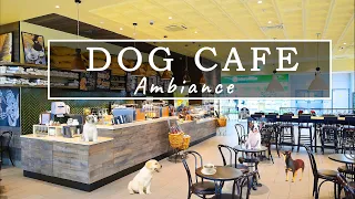 Dog Cafe Ambience & Jazz Music - Coffee Shop Sound,Dogs Sound,Cafe ASMR - Relaxing Music