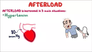 Afterload (Cardiac Muscle Mechanics) in 4 minutes