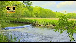 Calming stream to relieve stress or to sleep | read a book | Mind relaxing nature